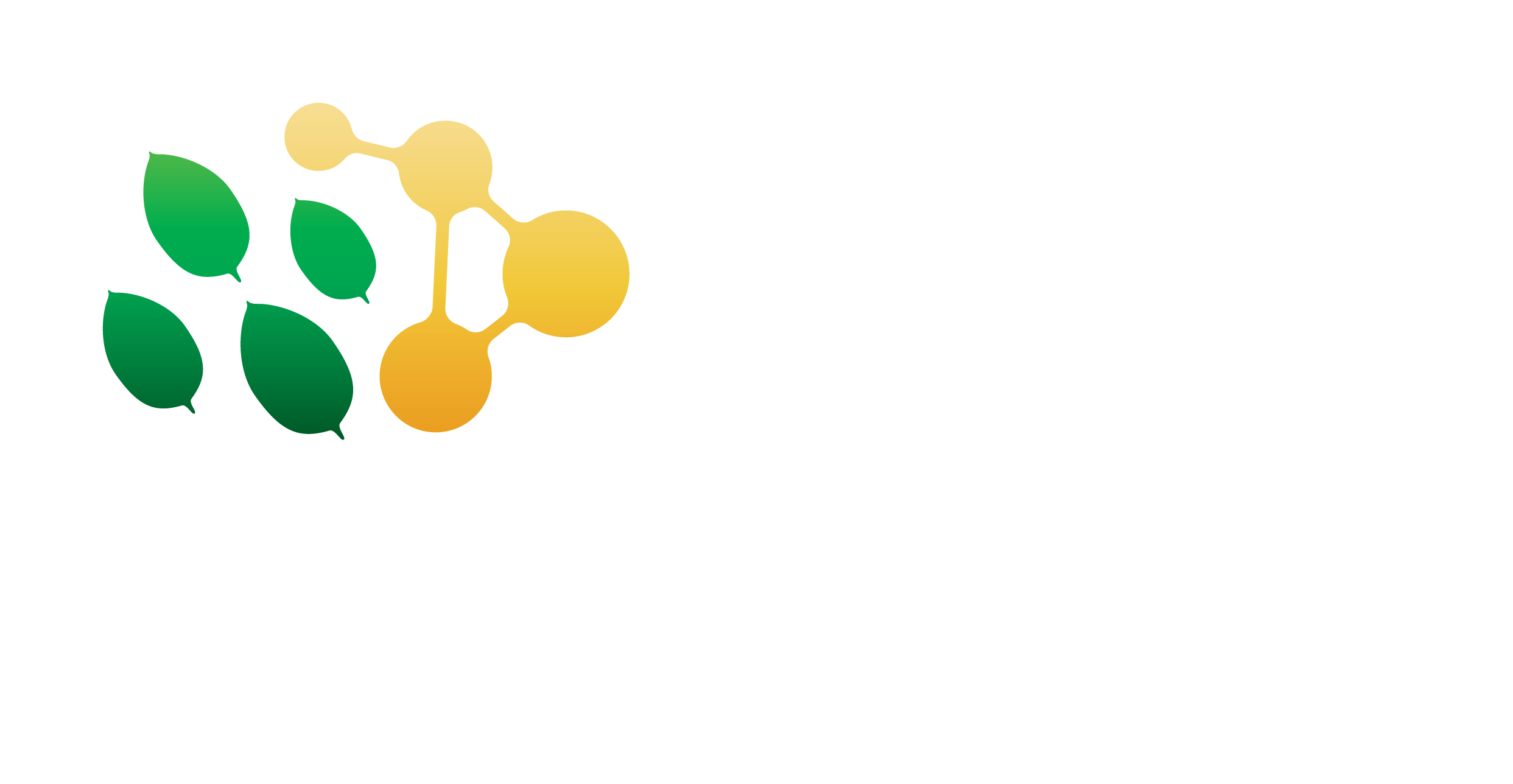 APIB